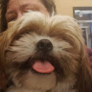 Meet your Posher, Shela